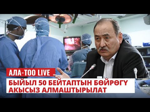 Быйыл 50 бейтаптын бөйрөгү акысыз алмаштырылат | 01.02.2024