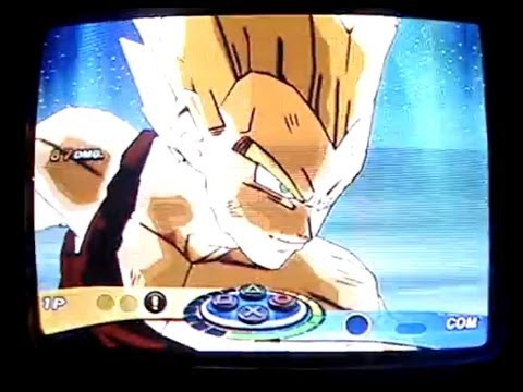 li shenron