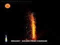 Consumer fireworks - Golden Conic Fountain