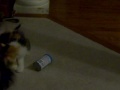 Chloe Monster