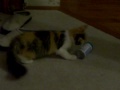 Chloe Monster