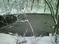 Winter Wonderland Winter Wonderland