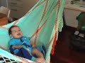 Chinchorro a la quinta Anauco
