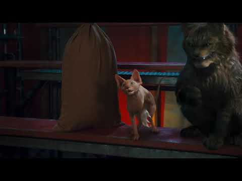 The Revenge of Kitty Galore: Kitty Galore's Plan
