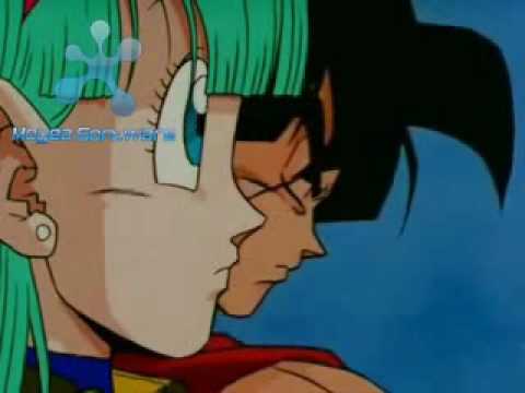 bulma xxx