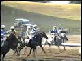 Mix de Rome horse ball