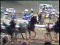 Mix de Rome horse ball