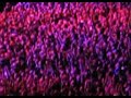 MUSE - ARENA RIGA MUSE - ARENA RIGA