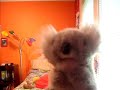Mr.Cadabies Koala - top back remix