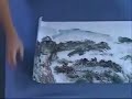 How to Mount a Large Chinese Painting (1)