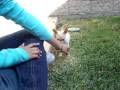 videos de chori caliente