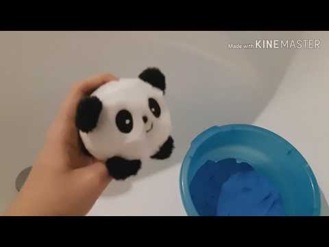 動画