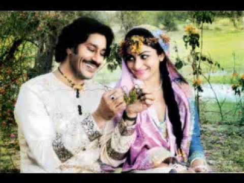 Ek Tu Hi Gawah Saada - song - heer Ranjha -punjabi new song