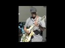 dawkins in great form at 27th annual blues in the park, green bay, wi, sunday, august 10, 2008.  with billy flynn.