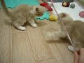 P1010804-1-1.wmv P1010804-1-1.wmv