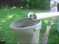 Training Lexie over the summer