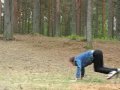 pasha in the woods