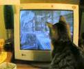 Rupert al Computer Rupert al Computer