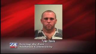 Large Marijuana Operation Lands Man in Jail