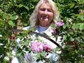  Rose garden,Daniel O\