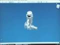 Apollo Accelerated Bitmap Remoting