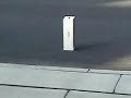 Mike Curcio Scooter