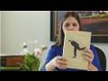 Social & Business Writing : How to Write a Vignette