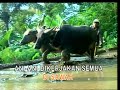Broery Marantika "WAKTU POTONG PADI"