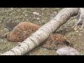 Epic Fails