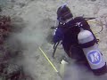 How to Catch Florida Lobster How to Catch Florida Lobster