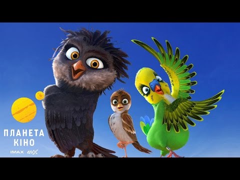 Шеннон Конлі - відео обкладинка