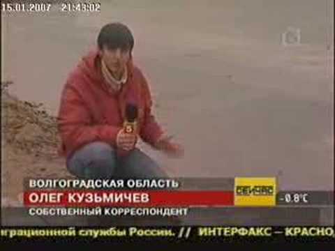 YouTube Трейлер