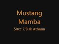 Mustang mamba power