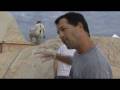 Cast in Miami: Sand Sculptures