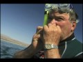 William Shatner Stars in The Whale Shark Hunters By Erin Calmes