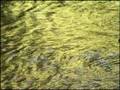  - MovieZen Video