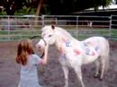 Freckles The 4TH Of July Pony!2008