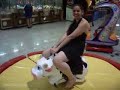 Tiazinha na Vaca Mecânica Tiazinha na Vaca Mecânica