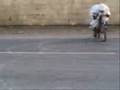 videos de ZIMBABWE BMW 325 is.wmv