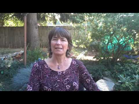 video_img