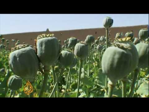 Karzai Rival Bows Out; NATO Troops Kill Girl