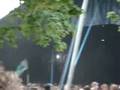 My Bloody Valentine at Roskilde