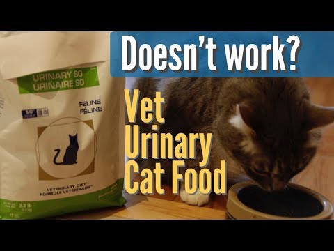 Don't Feed 'Veterinary Diet' for Urinary Disease in Cats?