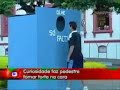 La Curiosidad Mat� al Gato