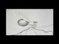 How a Mosquito Operates (1912)