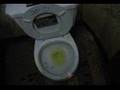 videos de Skanky bathroom