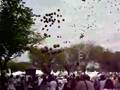 DC Release of Nakba Black Balloons