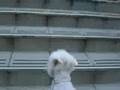 run up the stairs