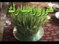 NOROOZE BASTANI IRAN