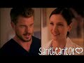 Greys Anatomy Cast || All We Are